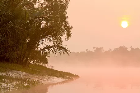 Sonnenaufgang in den Sundarbans
