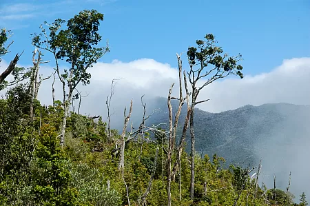After leaving the cloud forest, there is some view