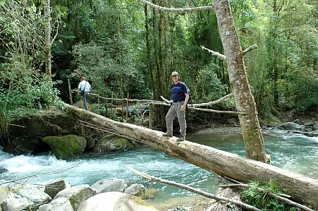 Ersatzbrücke auf dem Weg zum Wasserfall von San Gerardo de Dota