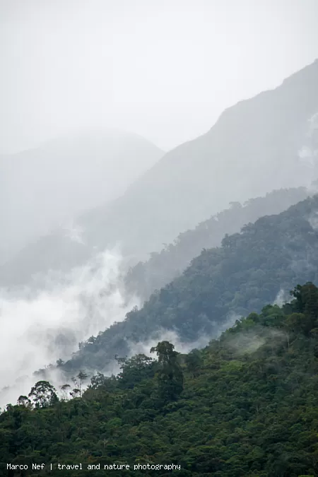 Berghänge mit Nebelwald oberhalb von San Gerardo de Rivas