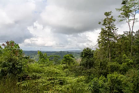 Sicht über den Parque Nacional Corcovado