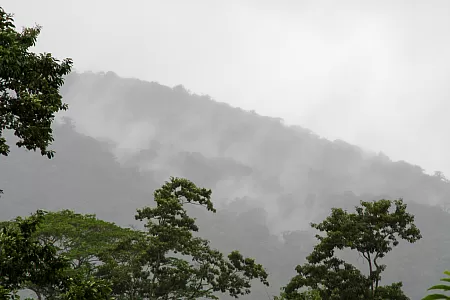 «Arenal» in rainy weather