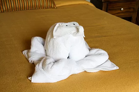 Elephant built of towels (Casa Luna Lodge)