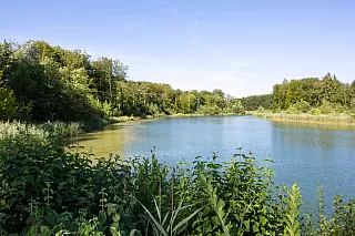 Ein während der Renaturierungen neu angelegter Flusslauf bei Rupperswil